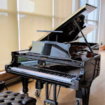 Black lamp on grand piano